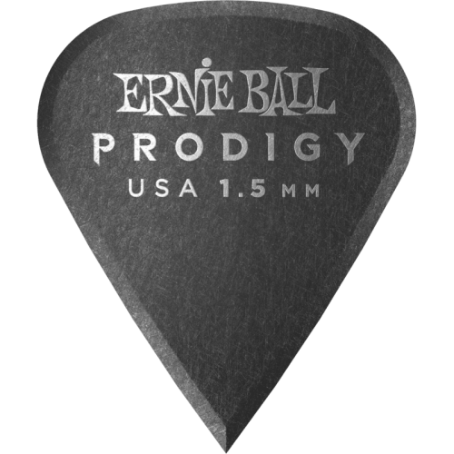 ERNIE BALL P09335