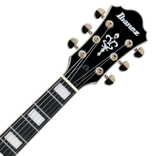 IBANEZ AG95QA-DBS фото 4